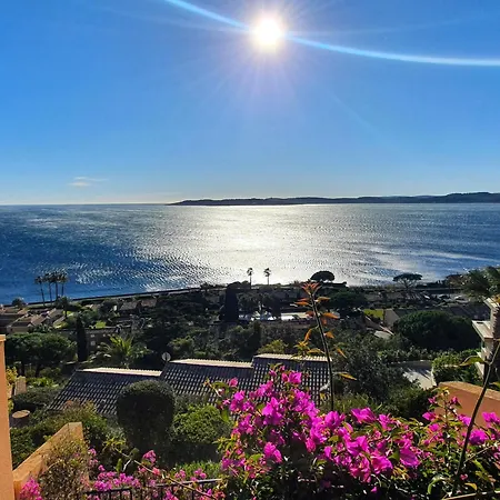 Lejlighed 4 Pieces Rez-de-chaussee Climatise, Piscine, Animaux Admis A - Fr-1-780-34 *