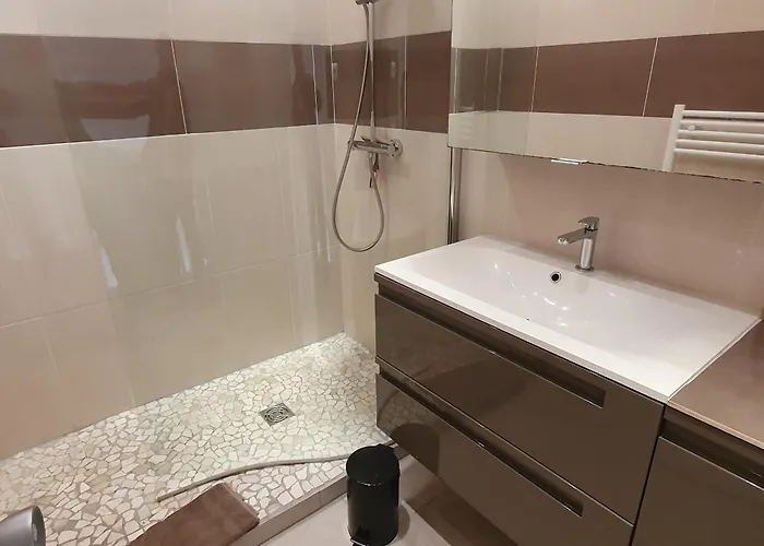 Apartment 4 Pieces Rez-de-chaussee Climatise, Piscine, Animaux Admis A - Fr-1-780-34 *