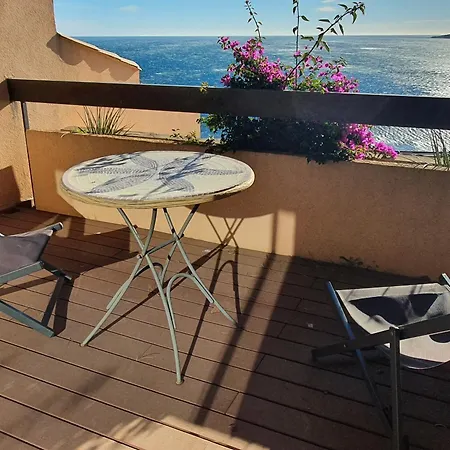 4 Pieces Rez-de-chaussee Climatise, Piscine, Animaux Admis A Apartment Sainte-Maxime