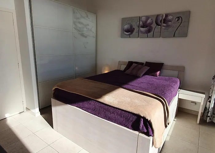 4 Pieces Rez-de-chaussee Climatise, Piscine, Animaux Admis A - Fr-1-780-34 Apartament *