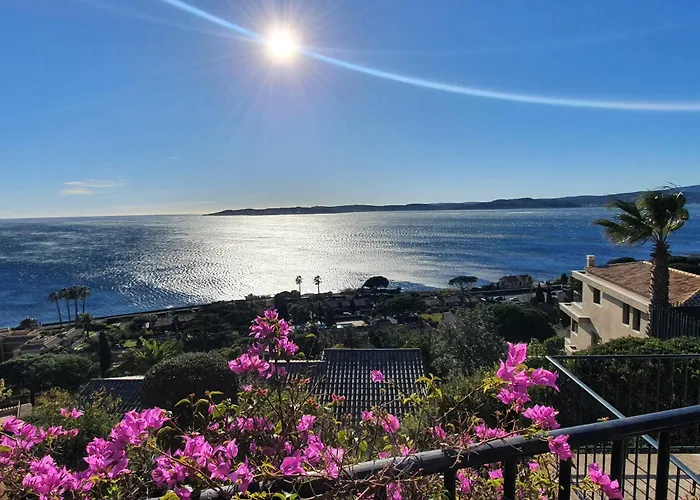 Apartament 4 Pieces Rez-de-chaussee Climatise, Piscine, Animaux Admis A - Fr-1-780-34 *